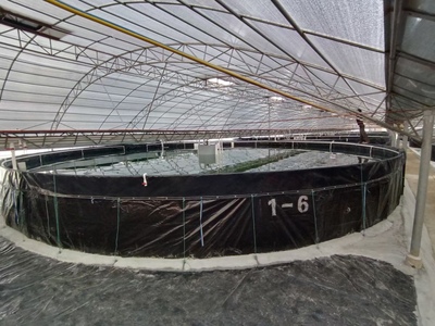 高密度养殖篷布